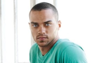 Jesse Williams Confirmed For Grey's Anatomy Season Seven Cast