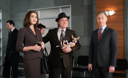 The Good Wife Season 7 Episode 16 Review: Hearing
