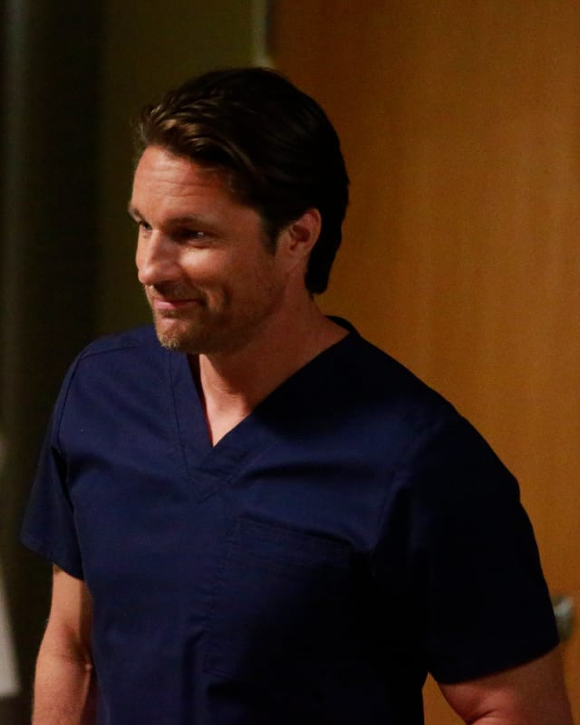 Dr. Dimples - Grey's Anatomy Season 13 Episode 1