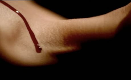 Castle pilot 2024 full episode