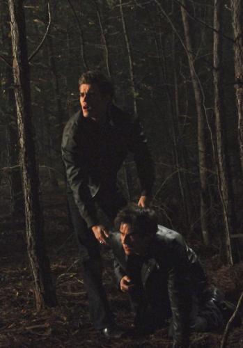 Frightened Vampires