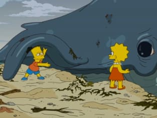 The simpsons season 21 watch online sale