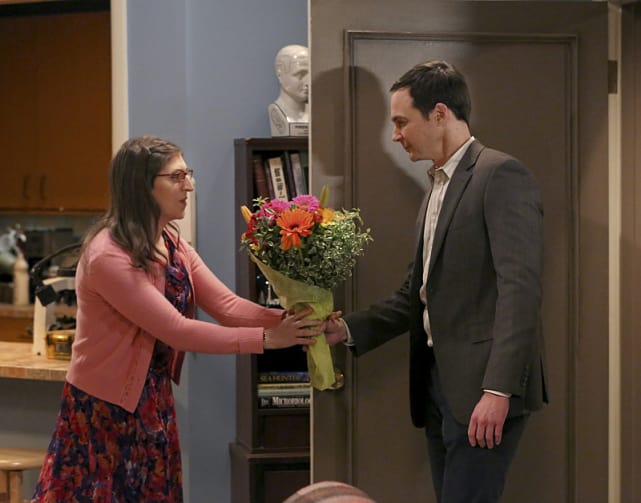 Flowers for the Lady - The Big Bang Theory Season 9 Episode 11