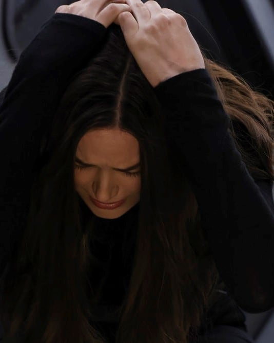 Liz in Jeopardy - The Blacklist Season 8 Episode 20