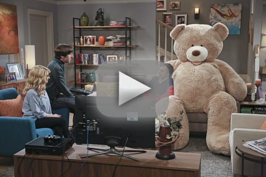 The Big Bang Theory Season 9 Episode 20 Review The Big Bear