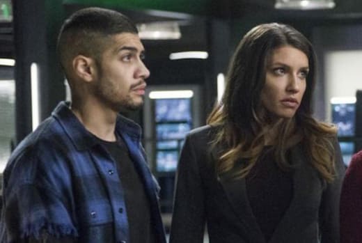 Arrow Canary/Wild Dog