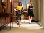 Taking Care of the Dog - Madam Secretary