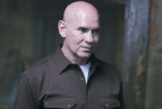 mitch pileggi supernatural