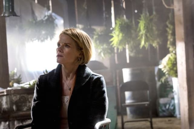 Joelle Carter as Ava Crowder - Justified Season 6 Episode 13, “The Promise”