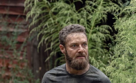 The walking dead s10e12 watch online sales