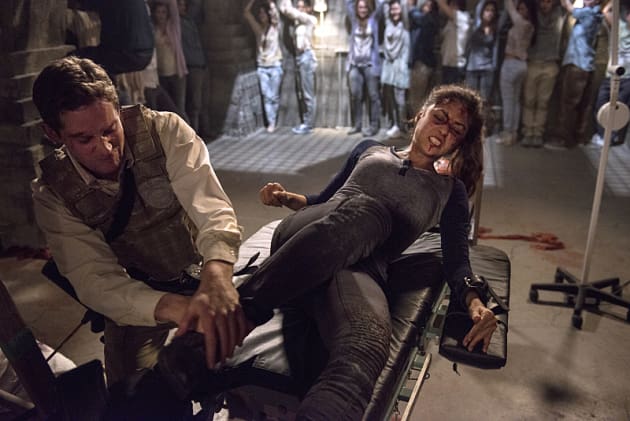 Raven's Pain - The 100