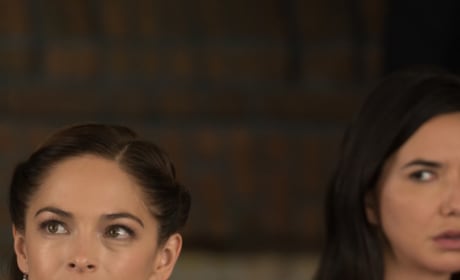 Burden of truth hotsell season 3 streaming