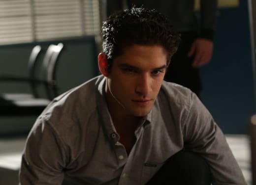 on Wolf, Teen