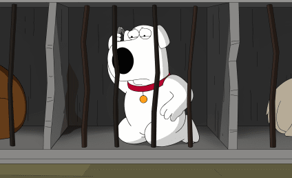 Family Guy Season 16 Episode 15 Review: The Woof of Wall Street