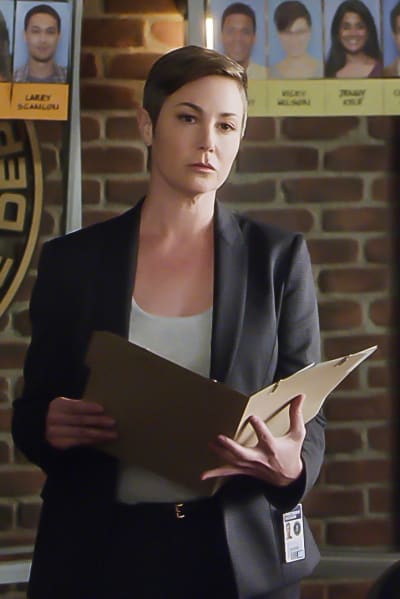 Criminal Minds Season 13 Episode 15 Review Annihilator Tv Fanatic