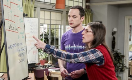 The Big Bang Theory Season 10 Episode 19 Review: The Collaboration Fluctuation