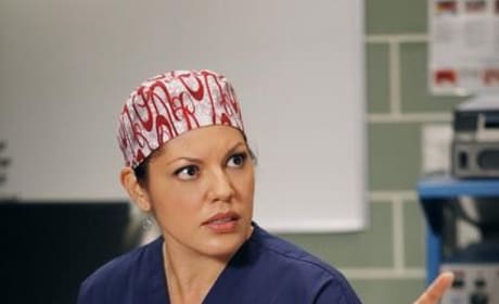 Grey's Anatomy Season 8 Episode 11: "This Magic Moment" Photos - TV Fanatic