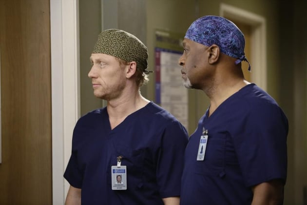 Pair of Doctors - Grey's Anatomy Season 11 Episode 14