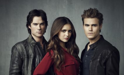 The Vampire Diaries Return Questions: What Will Happen?