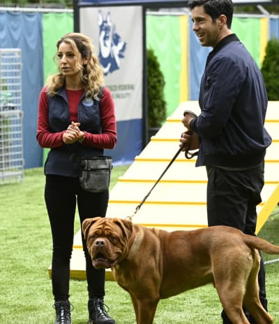 Hooch from turner and hooch discount