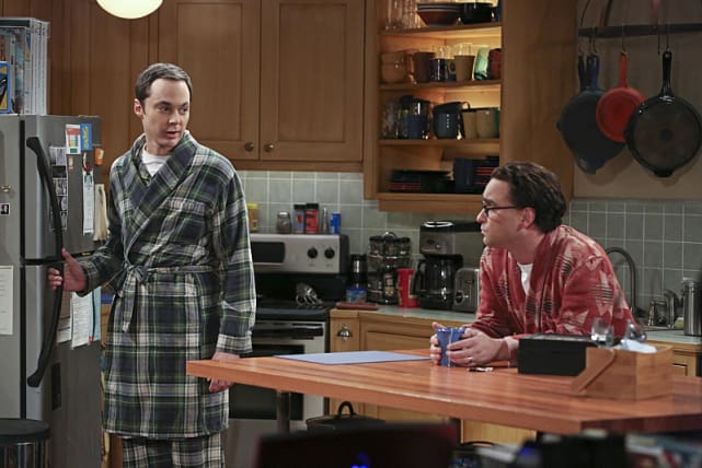 What Now? - The Big Bang Theory Season 9 Episode 2