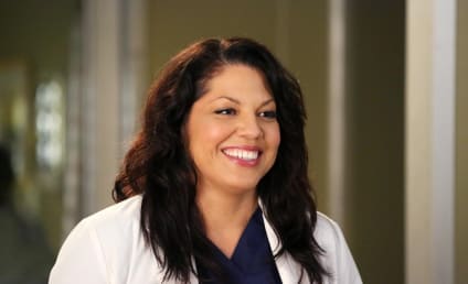 Sara Ramirez Confirms Grey's Anatomy Exit