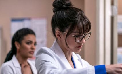 Watch new amsterdam 2024 season 2 online
