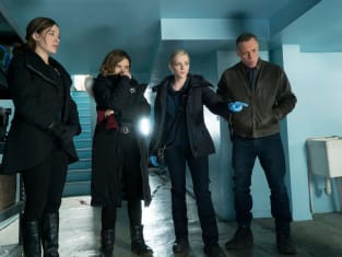 Something Stinks Chicago PD Season 3 Episode 15 TV Fanatic