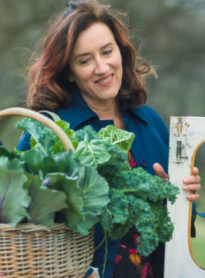 Karoo's Bountiful Harvest