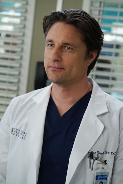 Dashing Doc - Grey's Anatomy Season 13 Episode 14