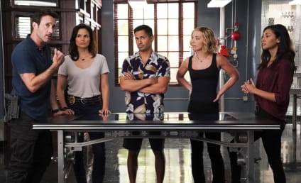 Hawaii Five-0/Magnum PI Crossover Review: Pack of Spies