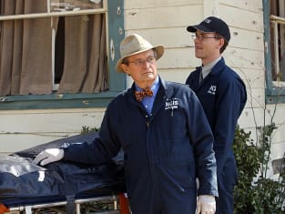 NCIS Review: Fortune Favors the Bold - TV Fanatic