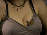 My Butterfly Picture
