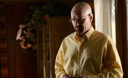 Breaking Bad Review: Down the Toilet