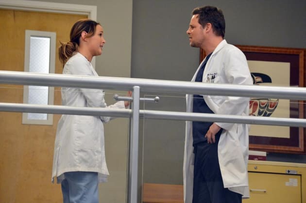 Grey's anatomy season best sale 10 putlockers