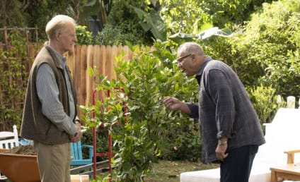 Modern Family Season 10 Episode 9 Review: Putting Down Roots
