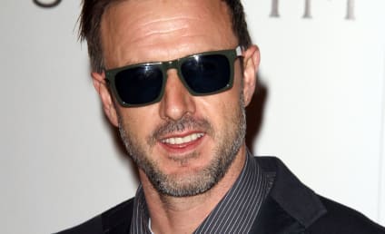 David Arquette in for Extended Stay on Pushing Daisies