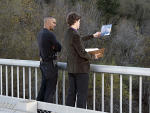 BAU on the Case