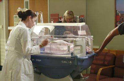 Lexie Labors