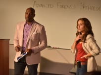 The Cold Case - Rosewood