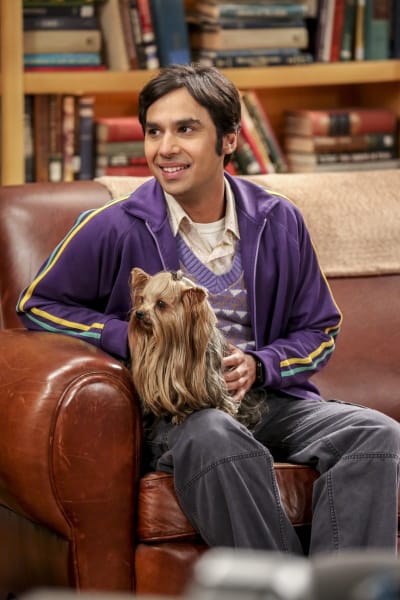 The big bang theory season 10 episode 4 watch online store