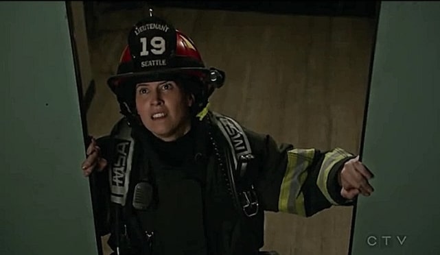 9 Characters' Odds of Survival on Station 19 Season 2 - TV Fanatic