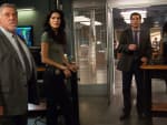 Going To the Dogs - Rizzoli & Isles