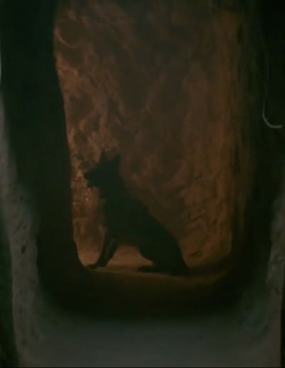 SEAL2