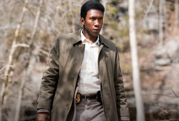 Wayne Hays - True Detective