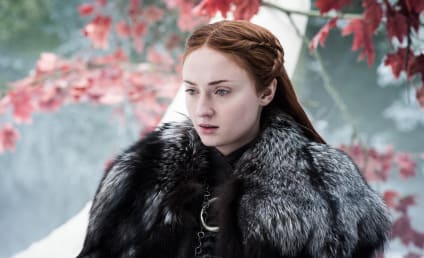 Game of Thrones' Sophie Turner Thinks Petition to Remake Season 8 is 'Disrespectful'