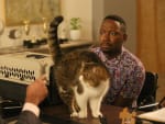 The Pet Audition - New Girl