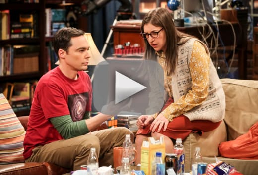 Watch The Big Bang Theory Online Season 12 Episode 23 Tv Fanatic 8317