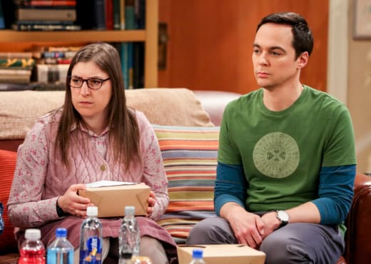 The big bang theory season 12 episode new arrivals 22 watch online