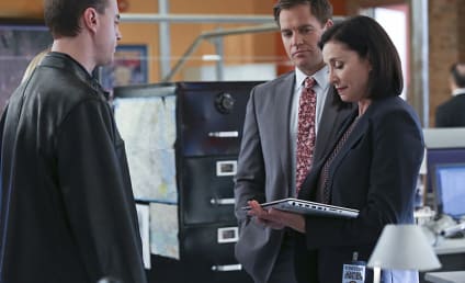 NCIS Boss Teases a New Gibbs, A Test for Bishop, A Decision for Tony